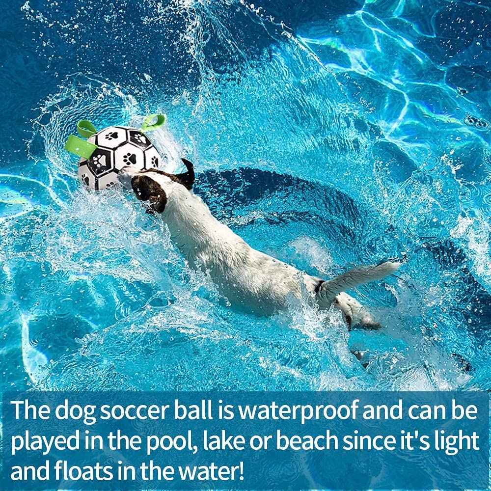 PawPlay™ Interactive Dog Toy